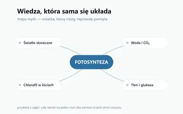 Efektywna nauka i organizacja wiedzy